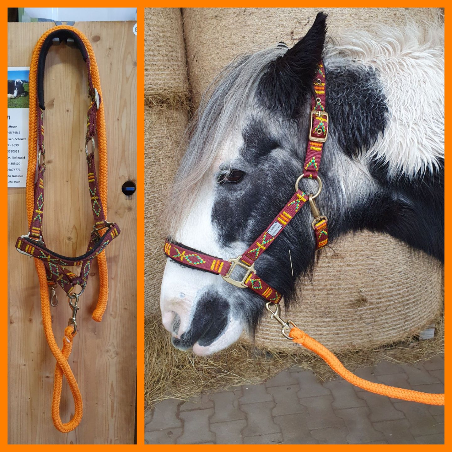 2023 12 Dezember 659